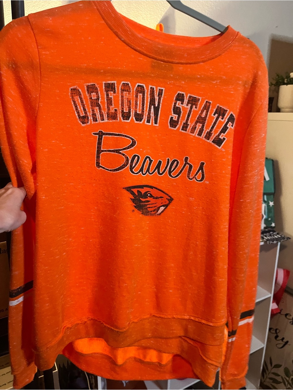 Oregon State Beavers Colosseum - Picture 2 of 3